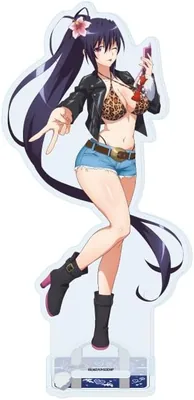High School D x D Hero 20 Akuno Himejima Acrylic Stand