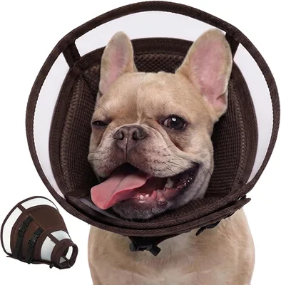 DENTRUN Dog Cone Alternative for Small Dogs