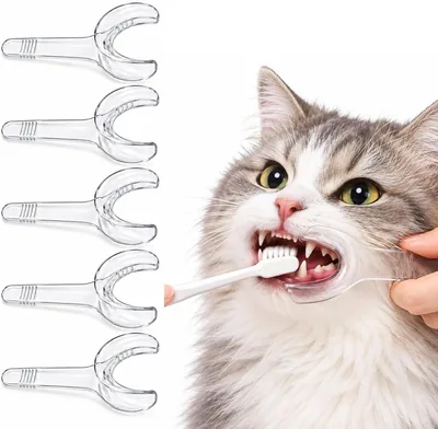 犬と猫のための歯ブラシ補助具 5個セット、U字型、透明、PVC | 歯の確認が簡単、後ろの歯も届きやすく