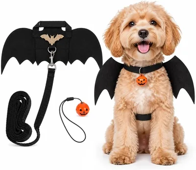 3pcs Dog Halloween Costume Bat Wings Pumpkin Set