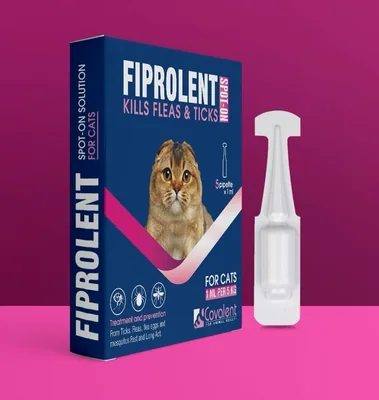علاج كتل البراغيث والقمل FIPROLENT للقطط - عبوة واحدة أو 5 قطرات، حماية سريعة وطويلة الأمد، يقتل البراغيث والقمل
