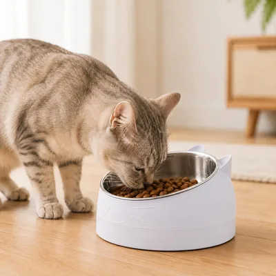6.8oz Stainless Steel Pet Bowls with Stand