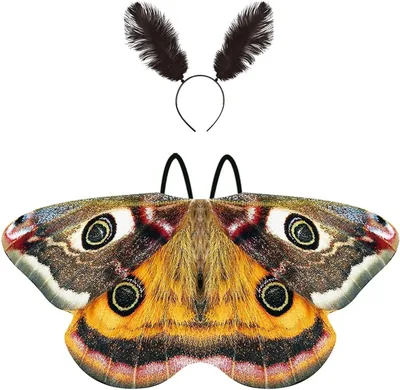 Moth Wings Costume with Headpiece - Women's Butterfly Cape