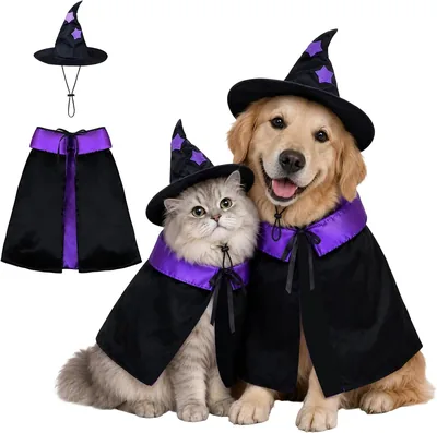 Dog Witch Halloween Costume Set - Cat Cosplay Cape