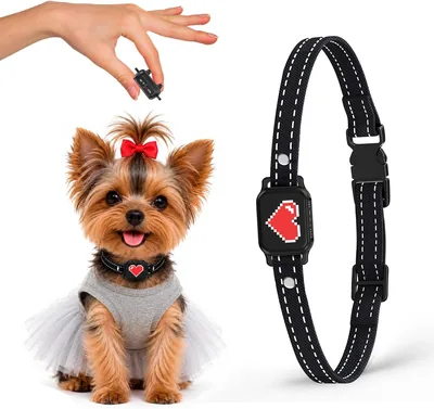 Bark Collar for Small Dogs - No Shock