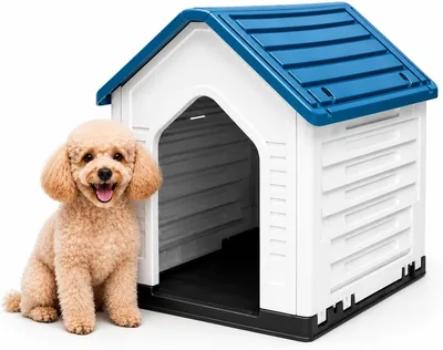 Q PERRON | Casa para Perro Chico | Calidad y Durabilidad Superiores