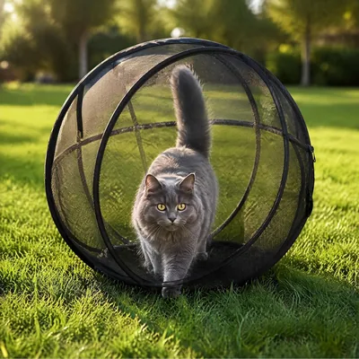 Cat Hamster Ball - 27" Outdoor Rolling Cati