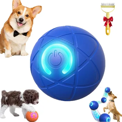 Zig Paw Ball Large Blue