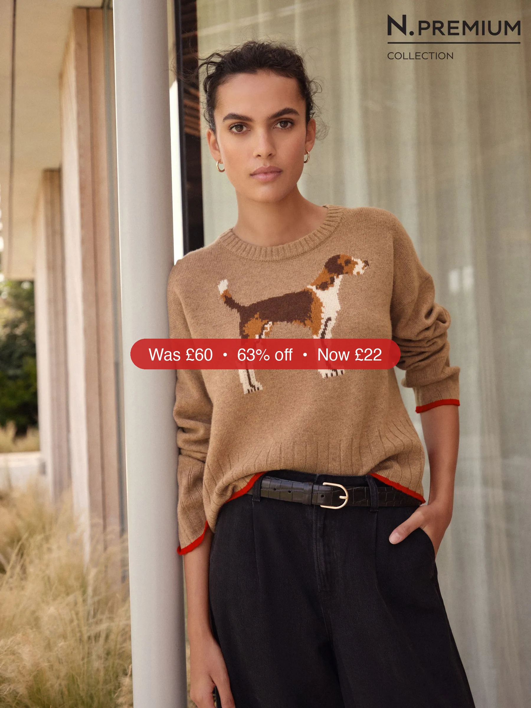 Next Camel Brown Dog Graphic 100% Lambswool N. Premium Crew Neck Jumper - 63% Off
