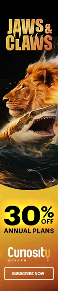 ࢶࣇ ࢨ࣓ ࠩࢠࡗ