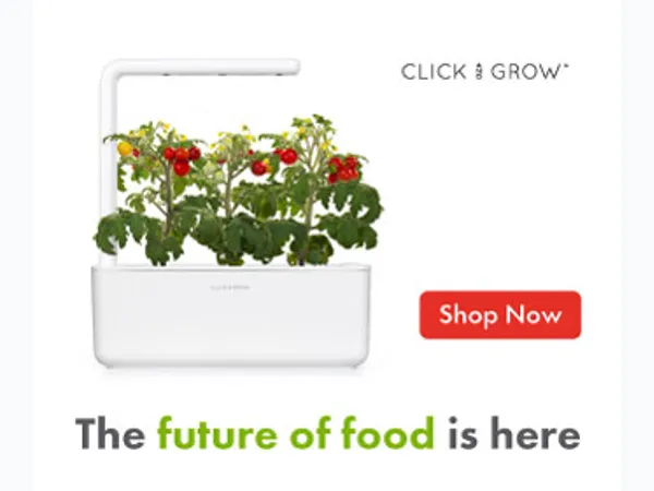 Automate Your Garden Watering with Click & Grow Smart System